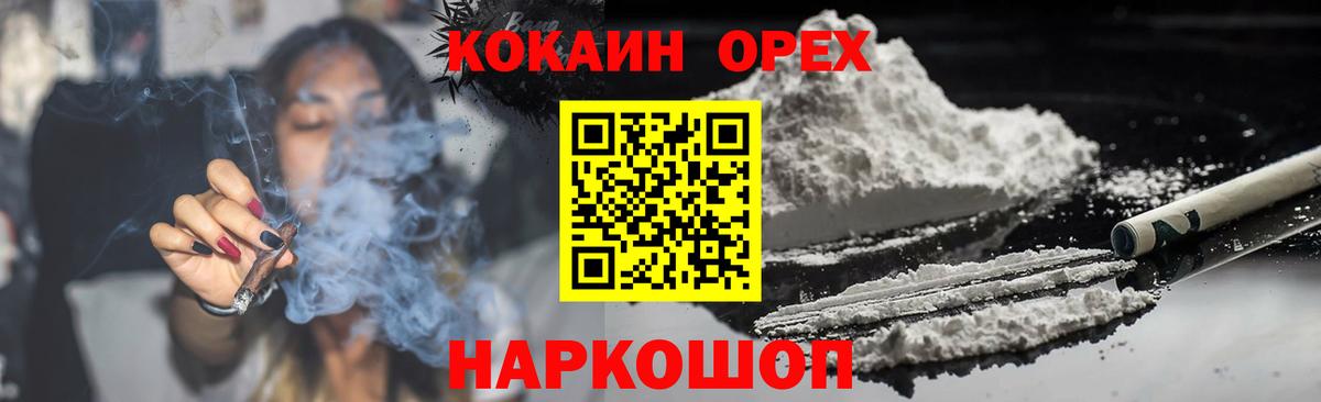 COCAIN Columbia Мончегорск
