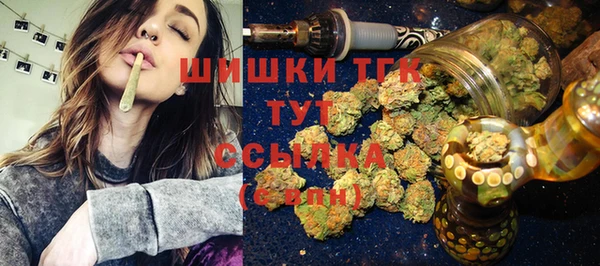 твердый Мегион