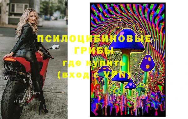 а пвп мука Медвежьегорск