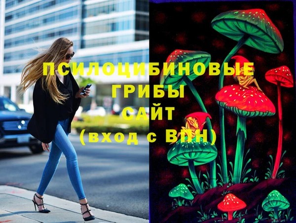 мдпв Медногорск