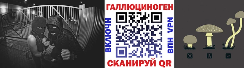 закладка  Мончегорск  Псилоцибиновые грибы GOLDEN TEACHER 